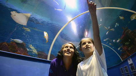 Tynemouth Aquarium, Whitley Bay