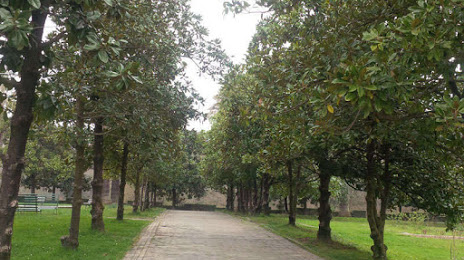 The Botanical Park of Tirana, 