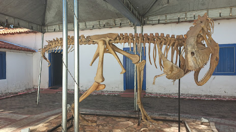 Museu de História Natural De Mato Grosso, Cuiaba