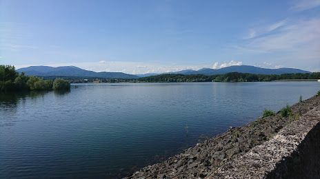 Lac de Michelbach, Wittelsheim