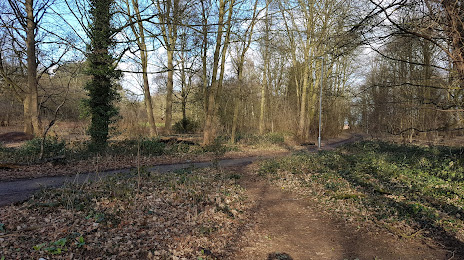 Lings Wood Nature Reserve, Northampton