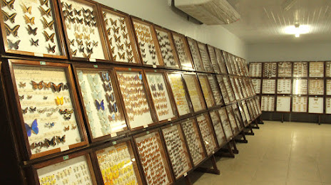 Museu de Ciências Naturais de Guarapuava, Guarapuava