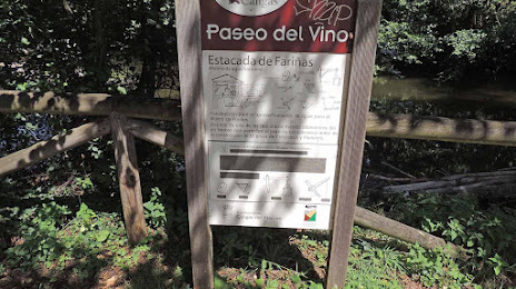Paseo Del Vino, Cangas del Narcea