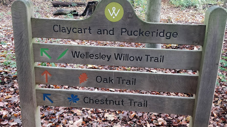 Duke's Wood, Wellesley Woodlands,, Aldershot
