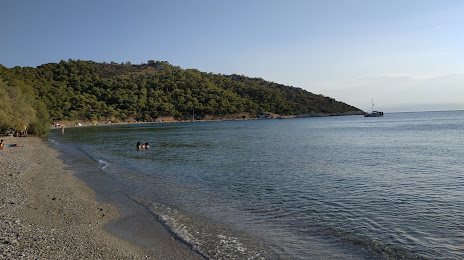 Kanakia beach, Salamina