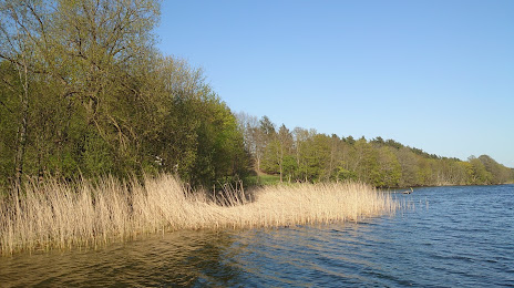 Jezioro Rychnowskie, 