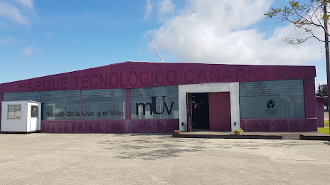 Museo de la Uva y el Vino, 