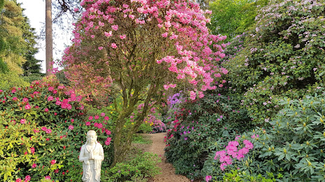 Rhododendronpark Hobbie, 