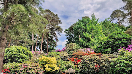Hobbie Rhododendron Park, Westerstede