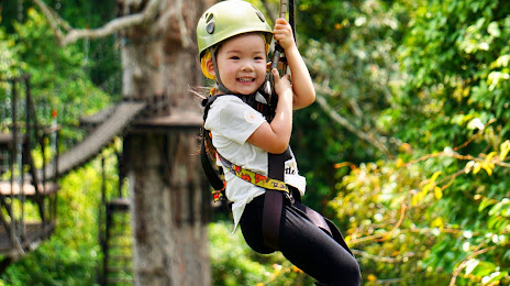 Angkor Zipline, 