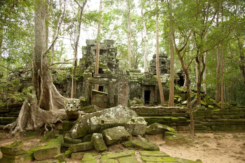 Ta Nei Temple, 