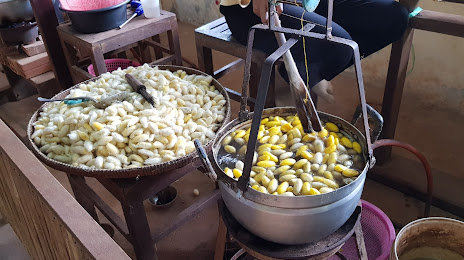 Angkor Silk Farm, 