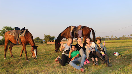 The Happy Ranch Horse Farm, 