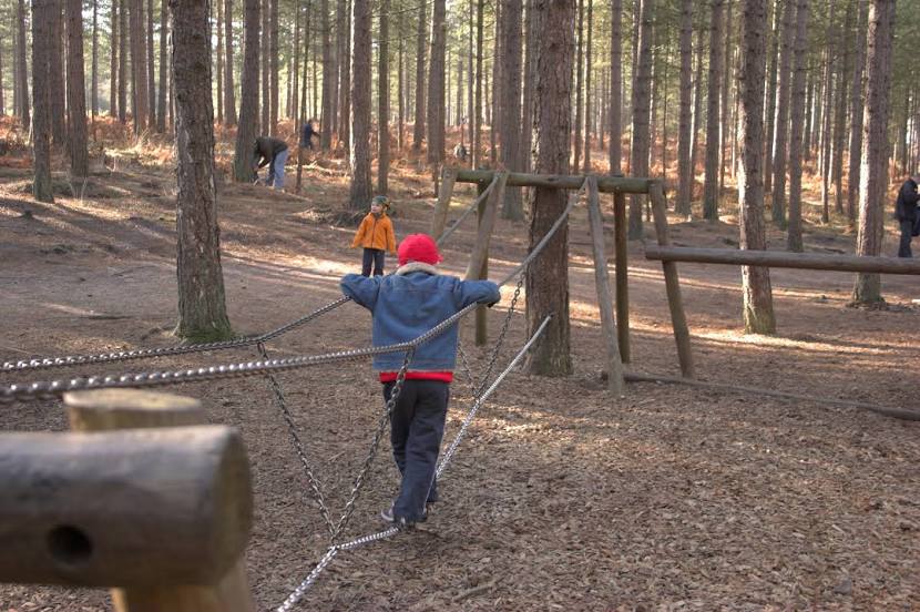 Moors Valley Country Park & Forest, 