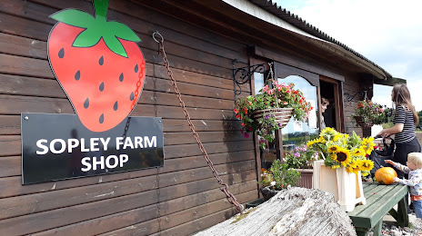 Sopley Farm Shop, PYO & Bakery, Ringwood