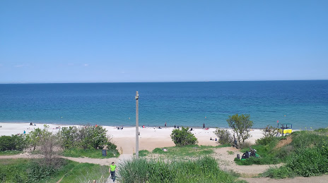 Собачий пляж, Одесса