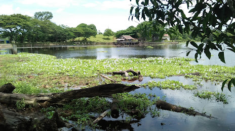 Danau Geunang Geudong, Meulaboh