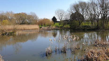 Saintbridge Balancing Pond, Cheltenham