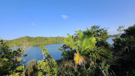 Lago Carite, Cayey