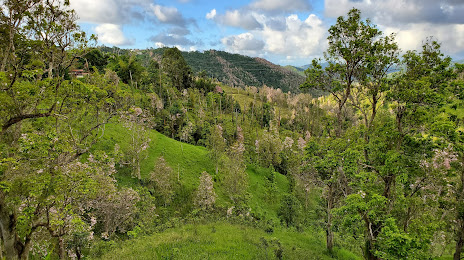 Reserva Natural La Robleda, Cayey