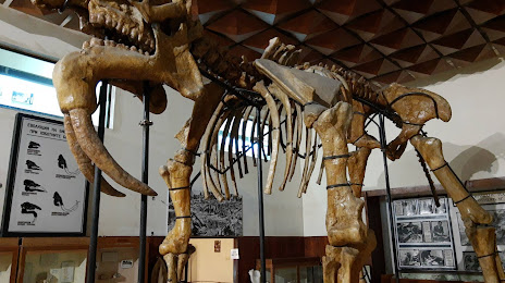 Paleontological Museum of Asenovgrad, 