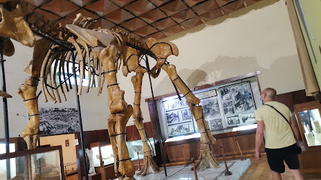 The Paleontological Museum, 