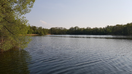 Jezioro Dłuskie, Rypin