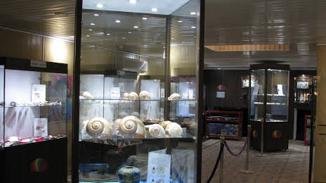 Isfahan Seashell Museum, 