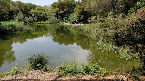 El Lago de la Vallesa, Paterna