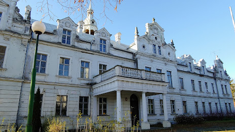 Schloss Bechau, Nysa