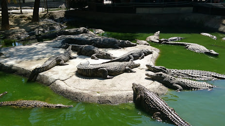 Crocodile Park, Малага