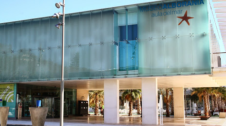 Aula Del Mar. Museo Alborania, Málaga
