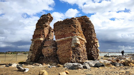 Monumento naturale Palude di Torre Flavia, Cerveteri
