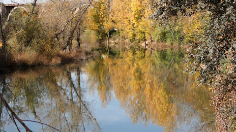 Corredor Ambiental del Río Manzanares, Pozuelo de Alarcón
