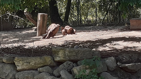 Зоологический и ботанический парк в Мюлузе, Рьедишем