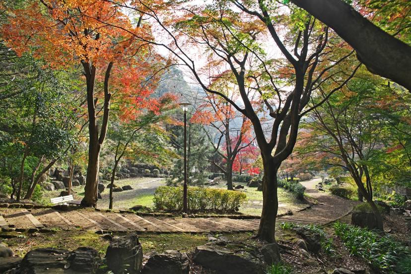 Kanagawa Prefectural Nanasawa Forest Park, 