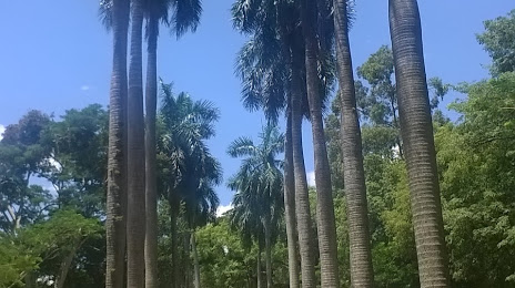 Bernardino Caballero Public Park, 