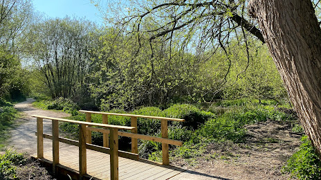 Caldy Nature Park, Chester