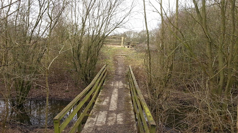 Thorpe Marsh Nature Reserve, Doncaster