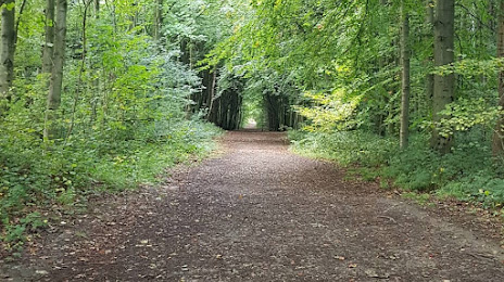 Melton Wood Country Park, Doncaster