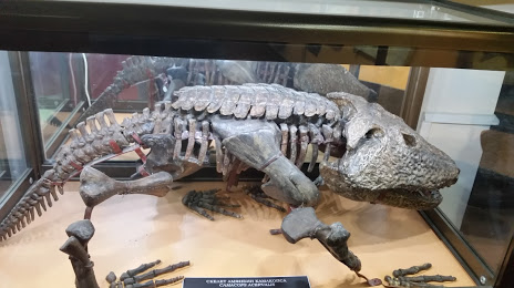 Вятский палеонтологический музей, 