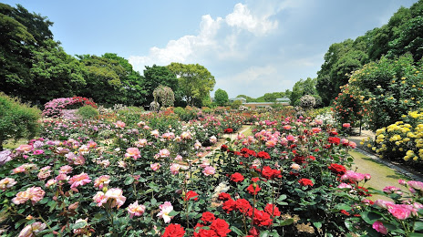 Fukuoka City Botanical Garden, 