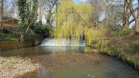 The Byes, Sidmouth