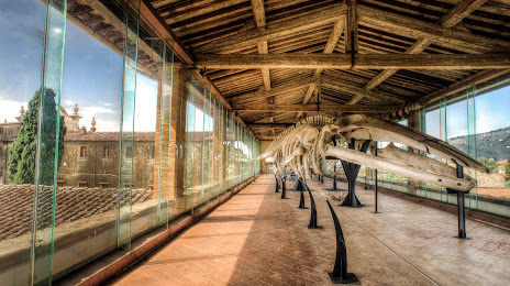 Natural History Museum of the University of Pisa, San Giuliano Terme