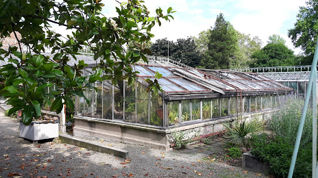 Botanical greenhouse, Liège