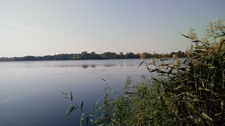 Jezioro Węgielsztyńskie, 