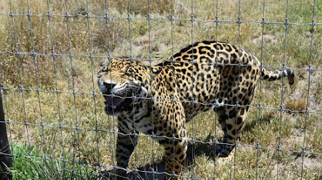 El Santuario del Jaguar, Tlacolula de Matamoros