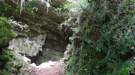 Cueva El Pendo, Camargo