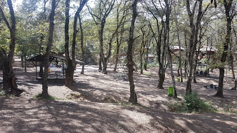 پارک جنگلی شهید زارع, Sari