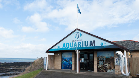 St Andrews Aquarium, 